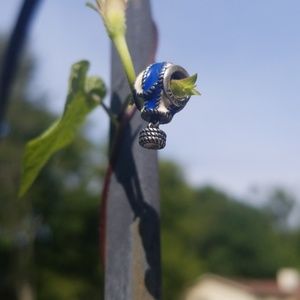 Pandora air balloon! Movable basket. So cute!